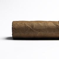 Blackbird JackDaw Robusto Cigar - 1 Single